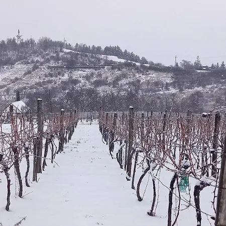 Barbar Borbar Apartament