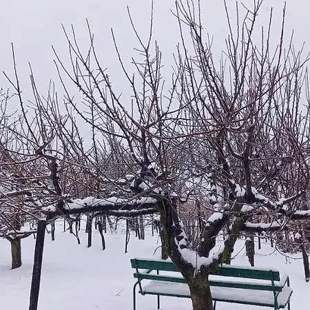 Barbar Borbar Szekszard