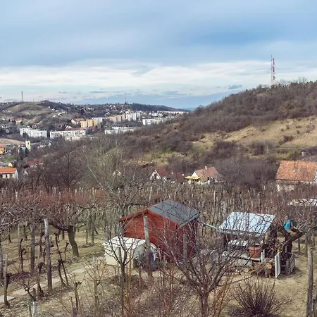 Barbar Borbar Szekszard